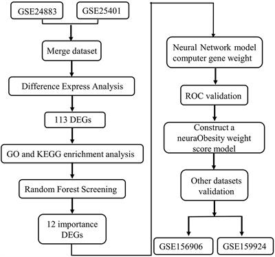 Construction and Analysis of a Joint Diagnosis Model of Random Forest and Artificial Neural Network for Obesity